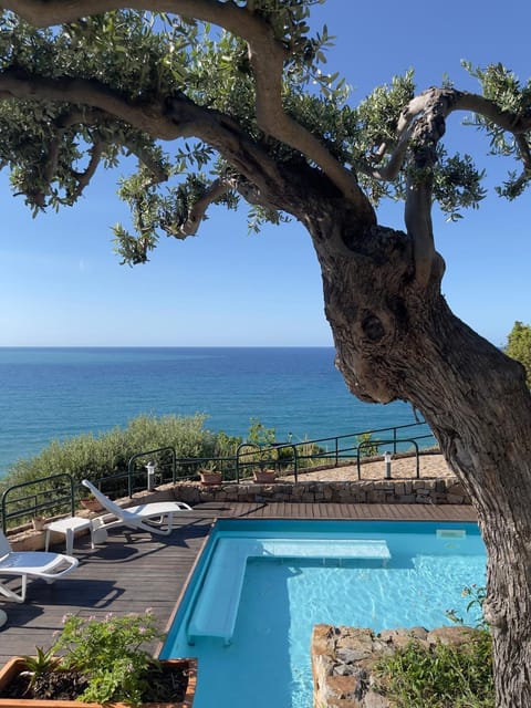 Day, Natural landscape, Garden, Hot Tub, Pool view, Swimming pool, sunbed