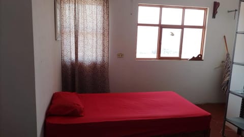 Patio, Bed, Bedroom