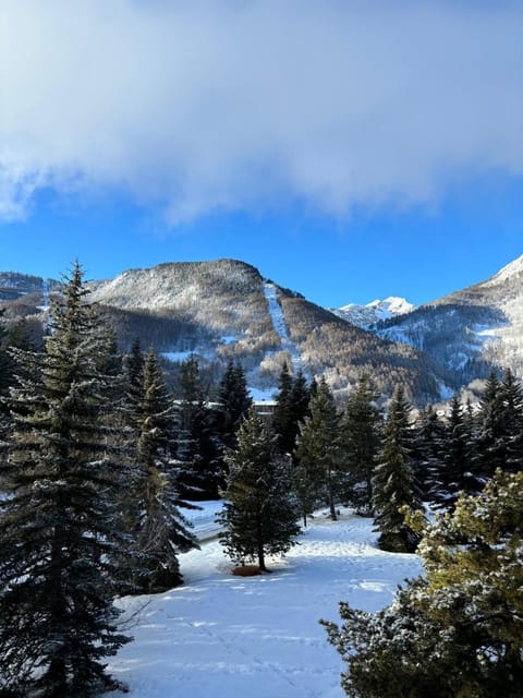 T3 appart 50 metres des pistes Apartment in Saint-Chaffrey