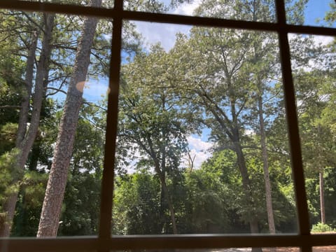 View (from property/room)