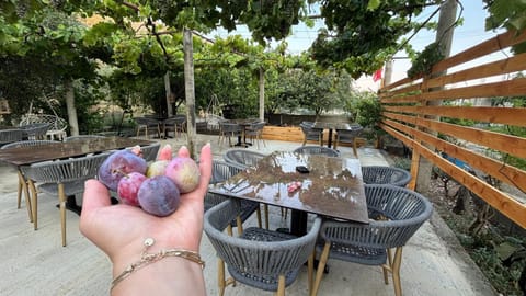 Borsh Selavi Guest House Bed and Breakfast in Vlorë County, Albania