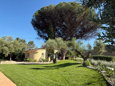 Property building, Day, Garden