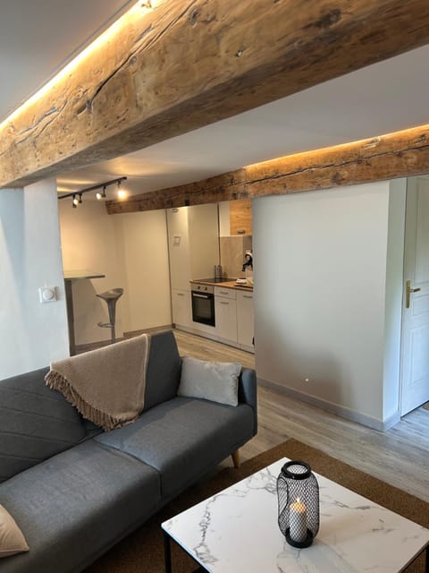 Appartement avec jacuzzi Apartment in Sisteron