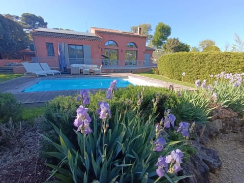 Garden, Garden view, Swimming pool, sunbed
