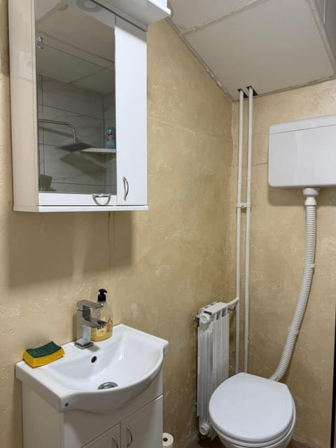 Dudino gnezdo Apartment in Serbia