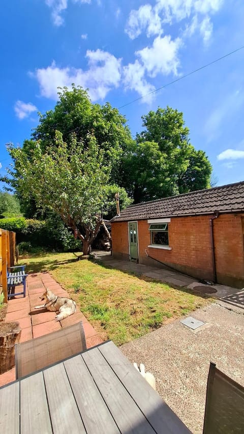 Beautiful home with garden great location House in Belfast