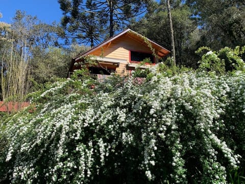 Property building, Garden view