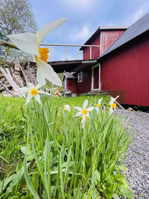 Lofoten view Skokkelvika House in Lofoten