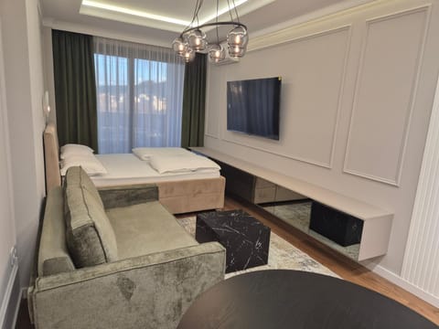 Bed, TV and multimedia, Living room, Photo of the whole room, Seating area, Bedroom