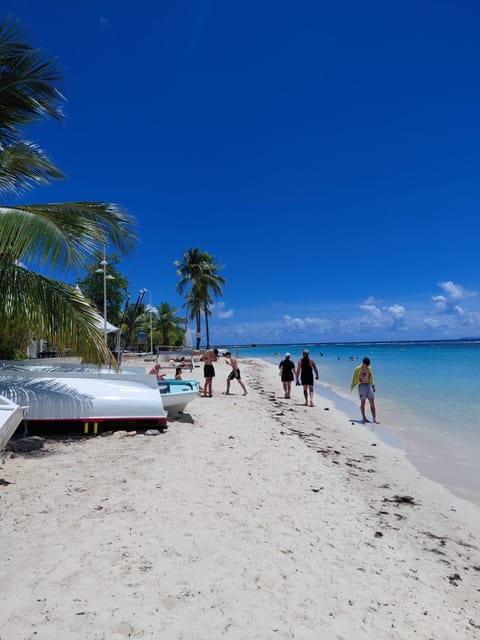 Beach, Windsurfing, Canoeing