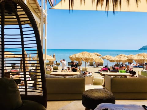 Restaurant/places to eat, Day, Natural landscape, Summer, Snorkeling, View (from property/room), Lounge or bar, Seating area, Beach, On site, Guests, Sea view, sunbed