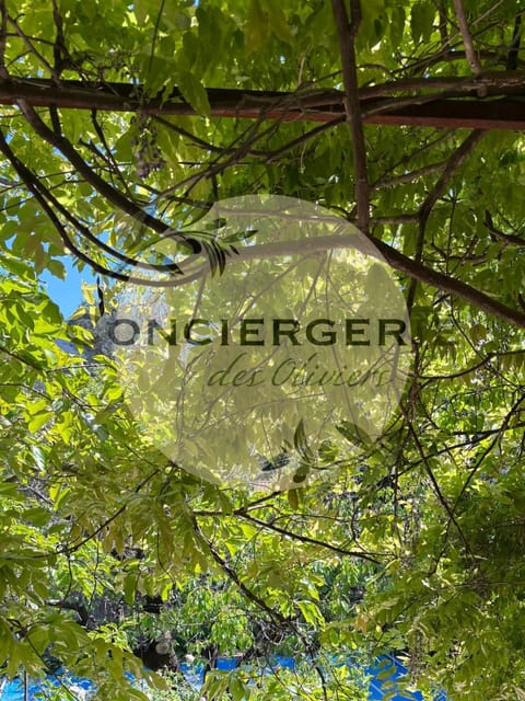 Maison provençale avec piscine House in Solliès-Toucas