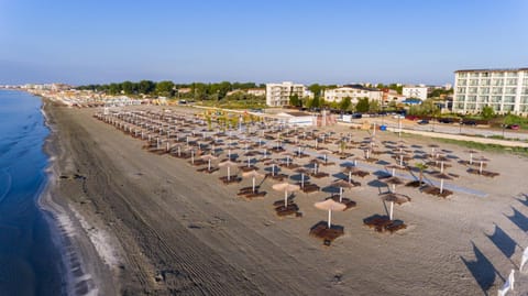 Summer, Beach, On site, Sea view, Drinks