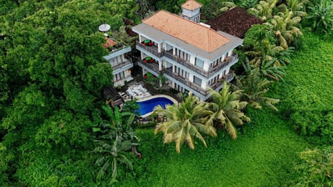 Property building, Natural landscape, Bird's eye view, Garden, Garden view, Pool view, Swimming pool