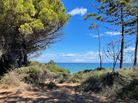Nearby landmark, Beach
