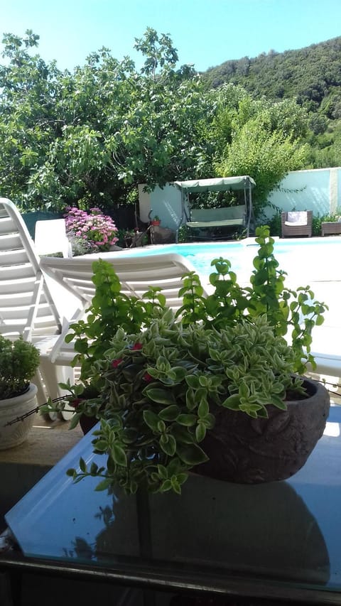 Apartments Gvacic Apartment in Supetarska Draga