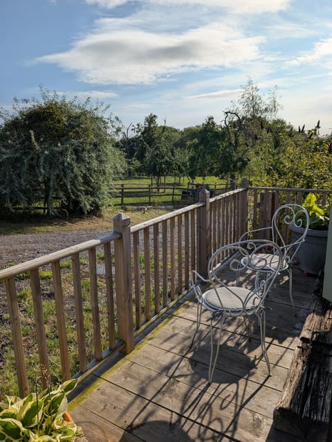 Audrey the Caravan of Dreams Chalet in Wyre Forest District