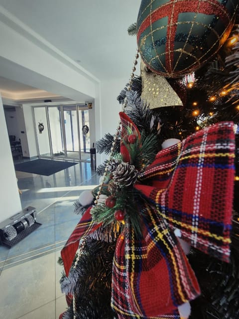 Excelsior Hotel Timisoara Hotel in Timisoara