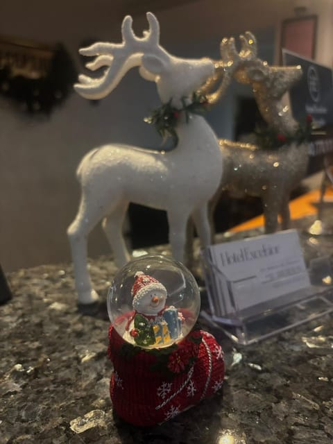 Excelsior Hotel Timisoara Hotel in Timisoara