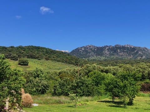 Garden, View (from property/room), Garden view, Garden view, Mountain view