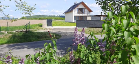 Property building, Neighbourhood, Garden