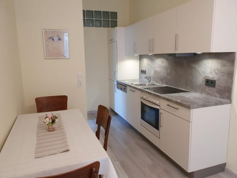 Kitchen or kitchenette, Dining area, oven, stove