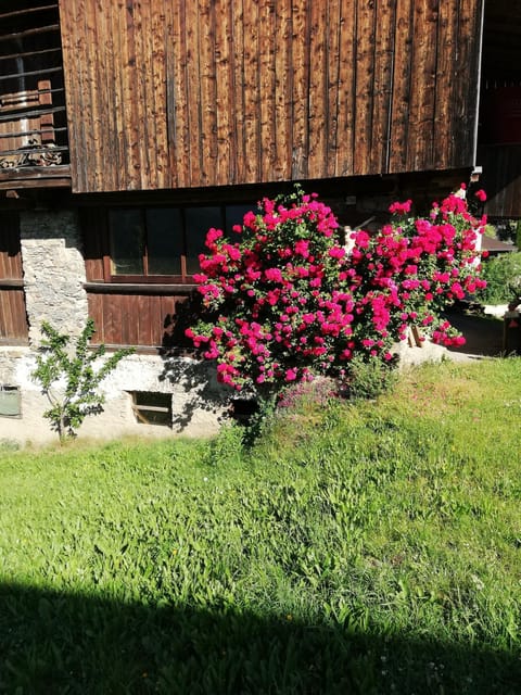 Ledererhof Farm Stay in Carinthia, Austria