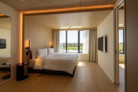 Bed, TV and multimedia, Bedroom