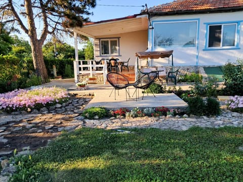 Patio, Garden, Garden view