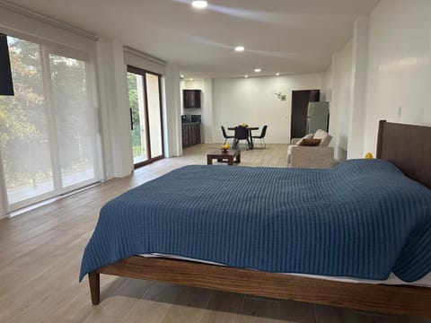 Bed, Living room, Photo of the whole room, Bedroom