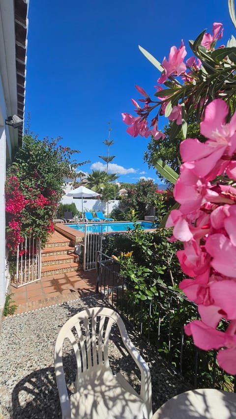 Garden, Swimming pool