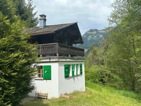 Property building, Natural landscape, Summer