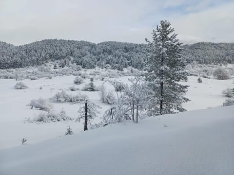 Dimora Colli Bassi Apartment in Pescasseroli