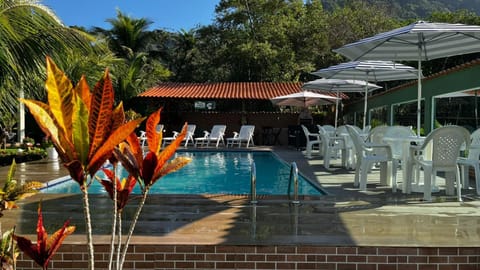 Patio, Day, Garden, Garden view, Pool view, Swimming pool, sunbed