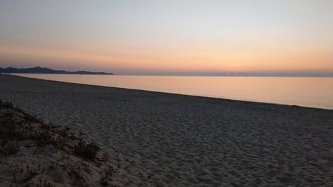 Beach, Sunrise