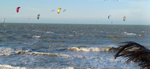 Day, Natural landscape, Activities, Beach, Sea view