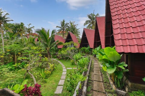 Property building, Day, Garden, Garden view