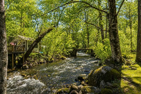 Nearby landmark, Day, Natural landscape, Lake view, River view