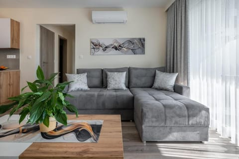 Living room, air conditioner