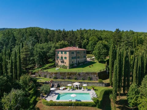 Bird's eye view, Garden, Garden view, Pool view, Swimming pool, sunbed