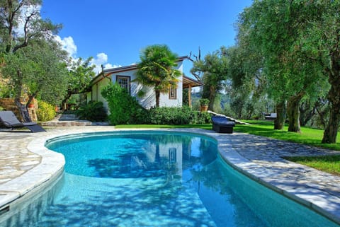 Garden, Swimming pool