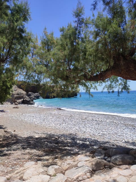 kyriaki room 5 Hotel in Crete