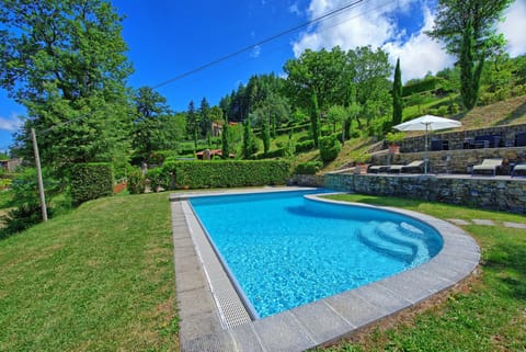 Garden, Swimming pool, Swimming pool