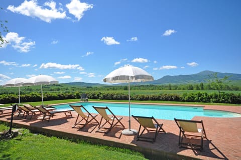 Garden, Swimming pool