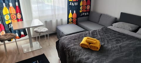 Photo of the whole room