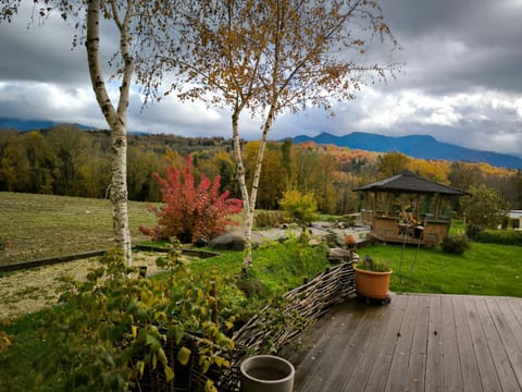 Natural landscape, Balcony/Terrace, Autumn, Garden view