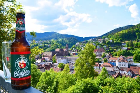 Nearby landmark, Natural landscape, City view, Mountain view