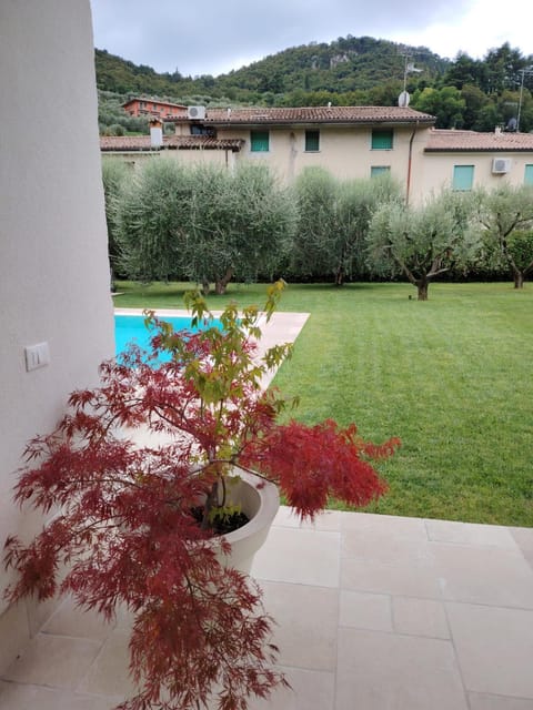 Garden, Garden view, Mountain view