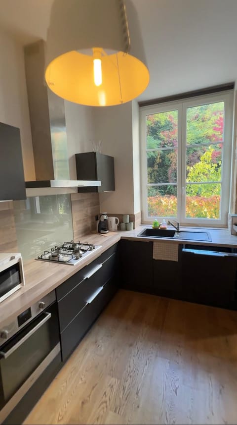 Kitchen or kitchenette, minibar, stove