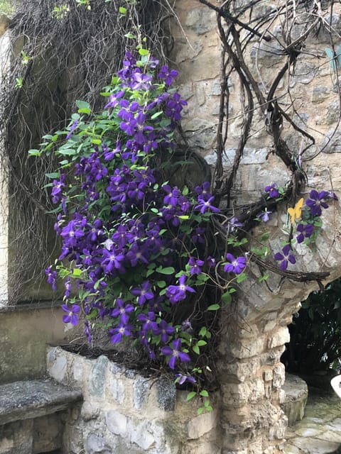 Molino Valsecchi 1369 Vacation rental in Province of Lecco